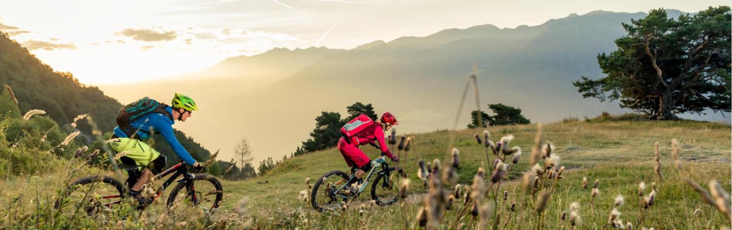 shuttle vinschgau